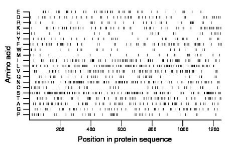 amino acid map