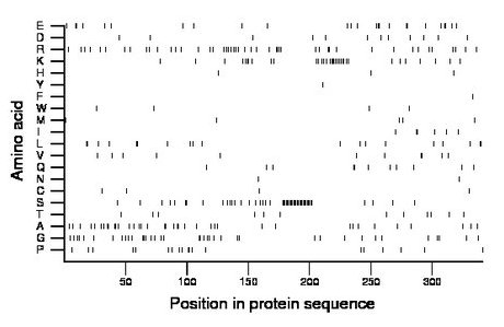 amino acid map