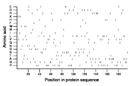 amino acid map