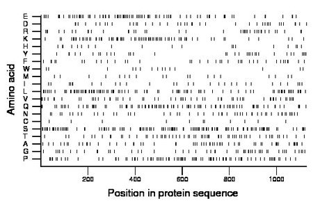 amino acid map