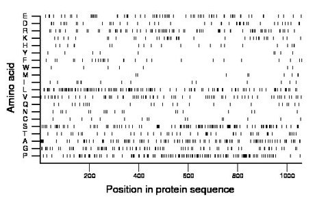 amino acid map