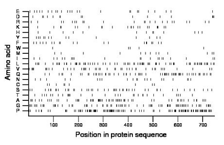 amino acid map