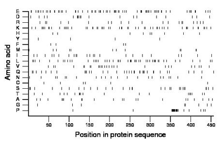 amino acid map