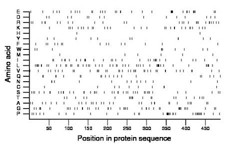 amino acid map