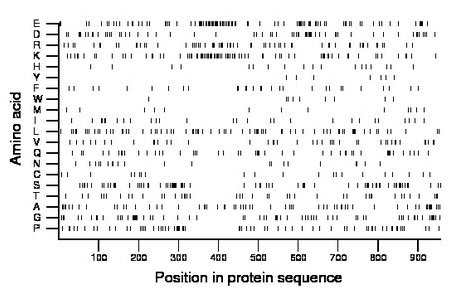 amino acid map