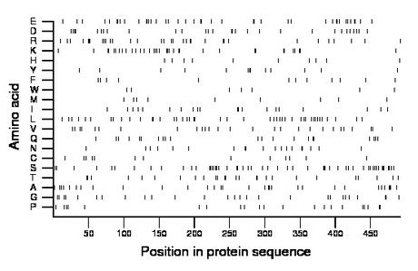 amino acid map