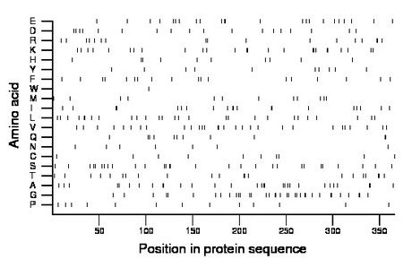 amino acid map