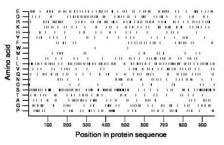 amino acid map