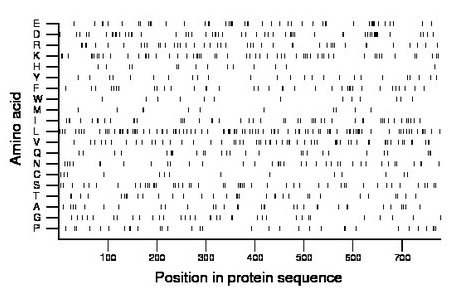 amino acid map