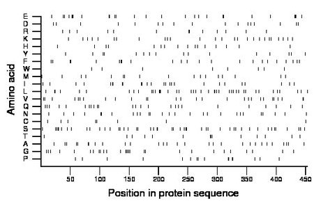 amino acid map