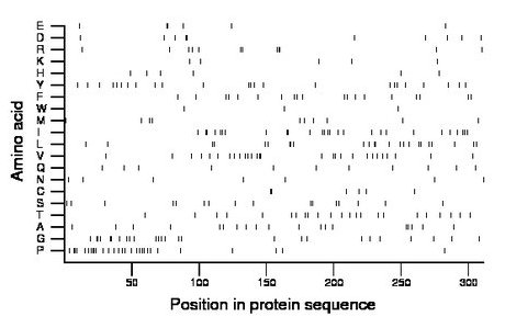 amino acid map