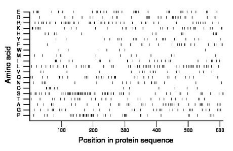 amino acid map