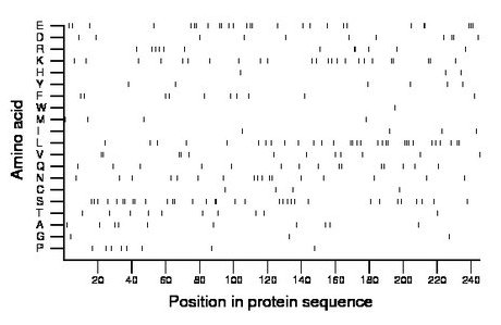 amino acid map