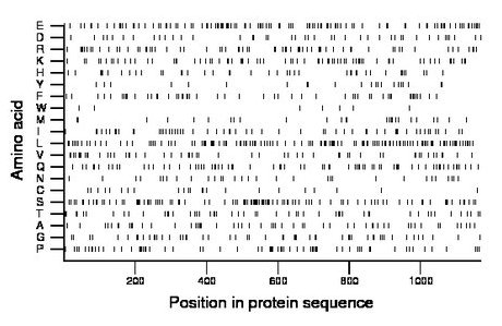 amino acid map