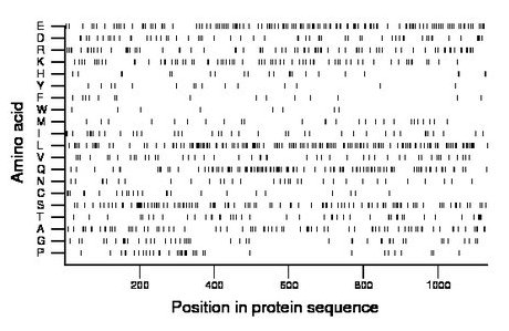 amino acid map