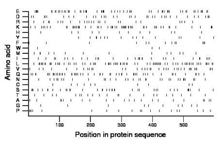 amino acid map