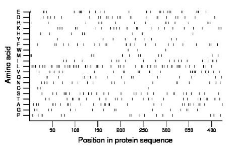 amino acid map