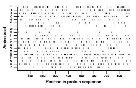 amino acid map