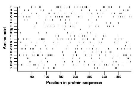 amino acid map