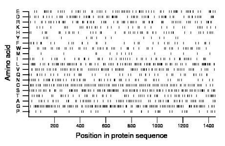 amino acid map