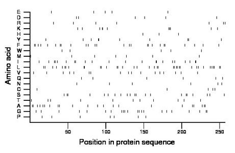 amino acid map