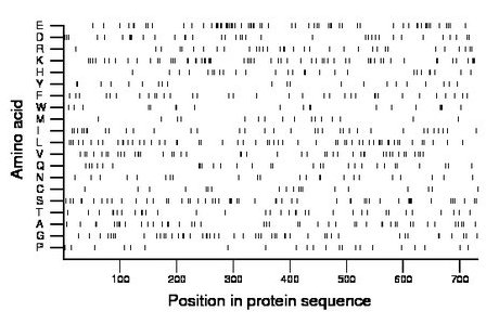 amino acid map