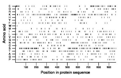 amino acid map