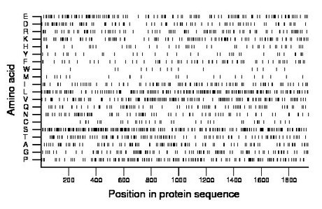 amino acid map