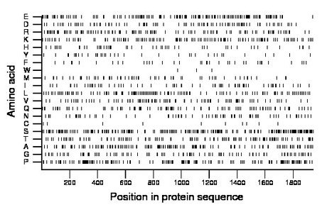 amino acid map