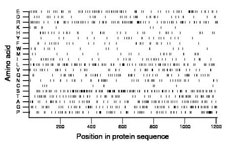 amino acid map