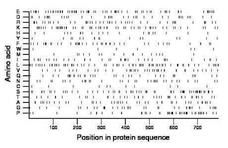 amino acid map