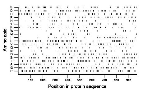 amino acid map