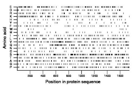 amino acid map