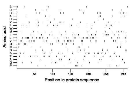 amino acid map