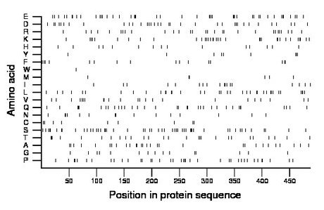 amino acid map