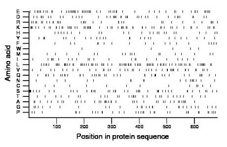 amino acid map