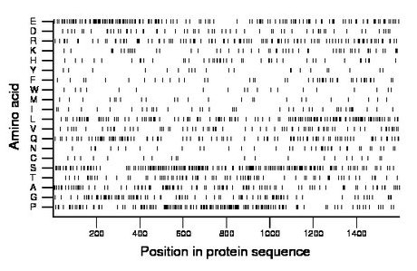 amino acid map