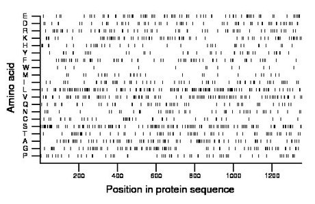 amino acid map