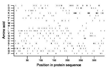 amino acid map