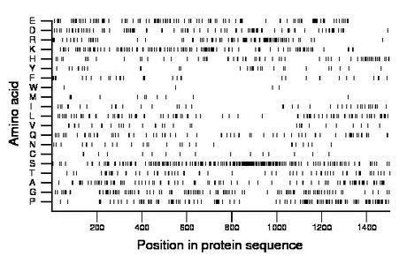 amino acid map