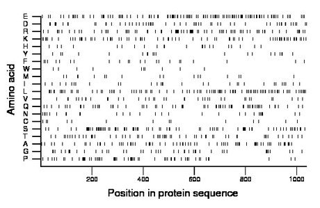 amino acid map