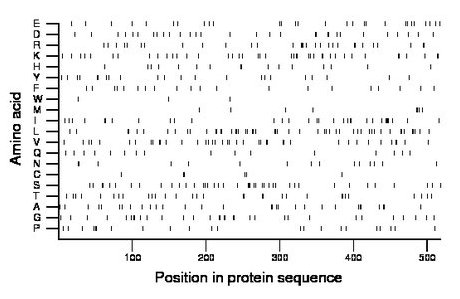 amino acid map