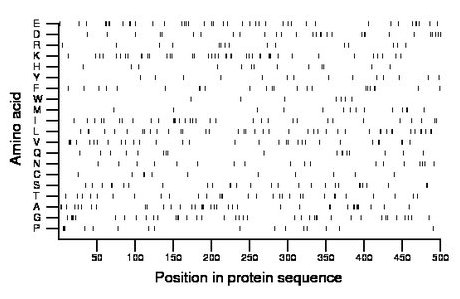 amino acid map