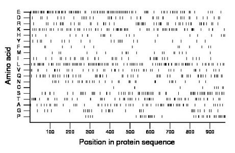 amino acid map