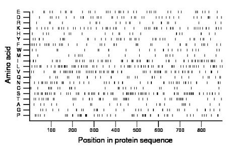 amino acid map