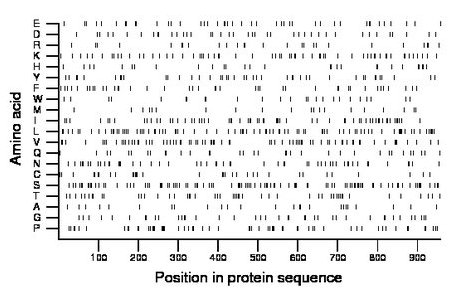 amino acid map