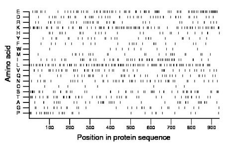 amino acid map