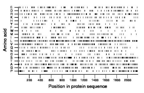 amino acid map