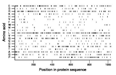 amino acid map