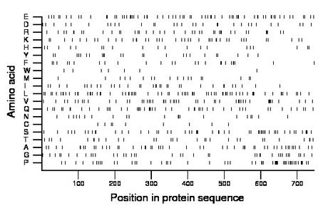 amino acid map